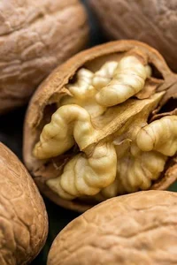 فروشگاه آجیل و خشکبار آیسان