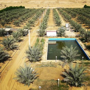 نخلستان باغ فدک