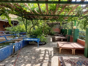 سفره خانه شهر سبز