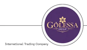 Golessa.co