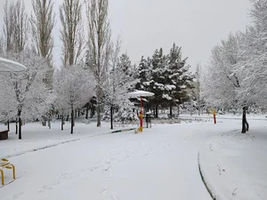 بوستان میرداماد