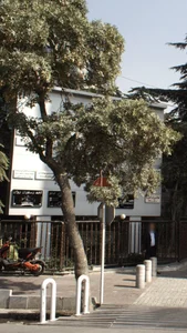 رستوران شترمرغ 3