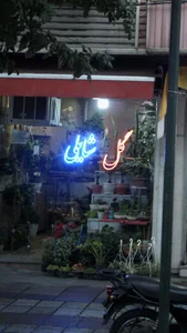 گل شایلی 2