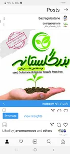 فروشگاه خدمات کشاورزی گلستانه