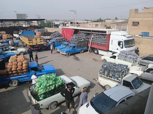 شرکت حمل و نقل رامین دز