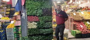 میوه فروشی تک 5
