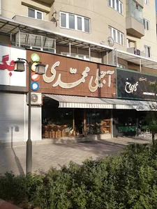 آجیلی محمدی