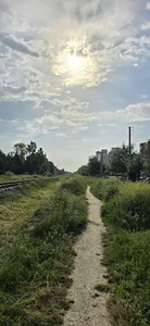پیست پیاده روی هنر