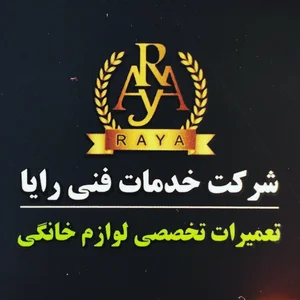 شرکت خدمات فنی رایا 2