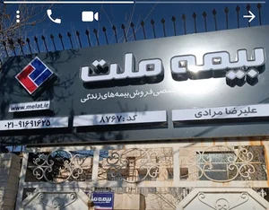 بیمه عمر وسرمایه گذاری