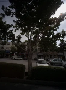 ابزرا رضا سوهانگر 2