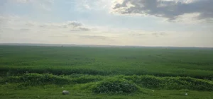 بهبهان