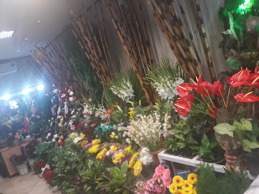 گل سرای غنچه های طبیعت