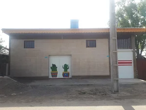 تولیدی لیوان کاکتوس
