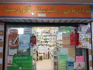 گیاه درمانی قانون سینا