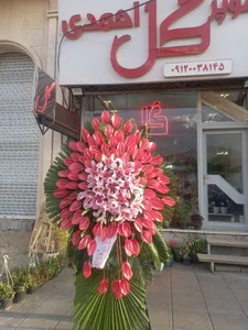 سوپر گل احمدی 5