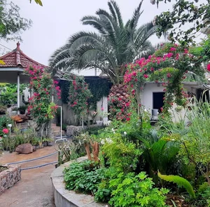 گلباغ نیلوفر آبی