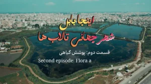باشگاه علمی ورزشی آرامش