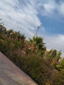 بوستان بانوان 3