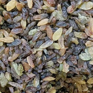 کشمش افتابی وخشکبار علیزاده 2