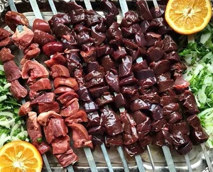 جگر خان