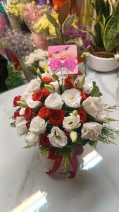گلسرای مادر 2