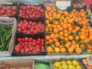 میوه فروشی شهروند