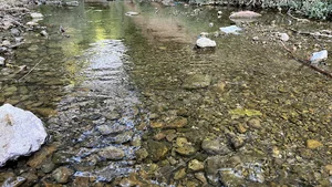 رودخانه بروک اقلید