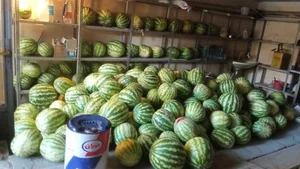 میوه فروشی دوستان 2
