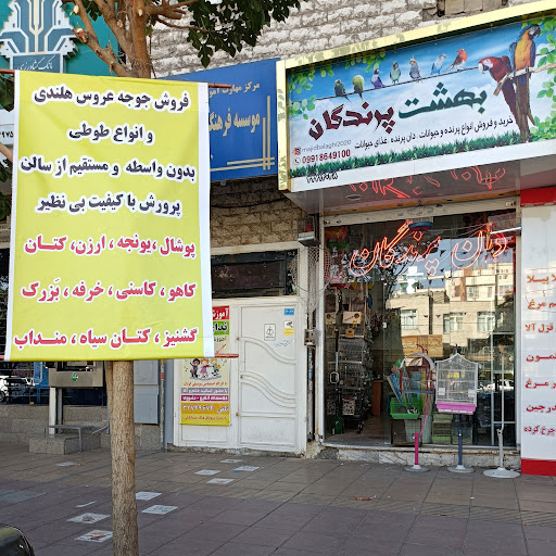 آموزشگاه موسیقی ندای باران
