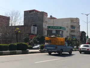 بانک کشاورزی