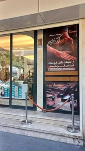 گروه تولیدی صنعتی کفش فرزین، علی فرزین