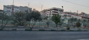 زمین چمن