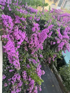 دفتر استانداری مازندران