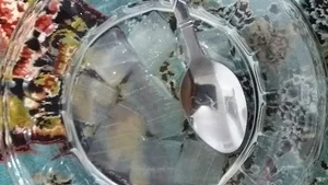 آبمیوه بستنی سنتی آلما