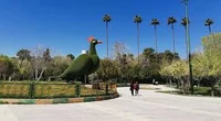 سرسره باغلارباغی