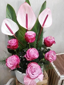 گل فروشی آیریس
