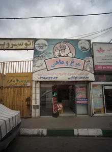 مرغ و ماهی