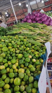 بازارچه میوه و تره بار ایران