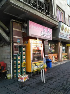 جگر سرای عادل اردبیلی 3