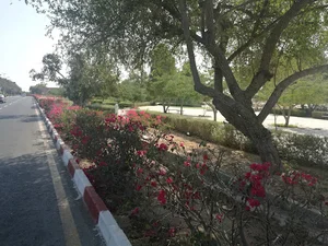 شهر زیرزمینی کاریز کیش