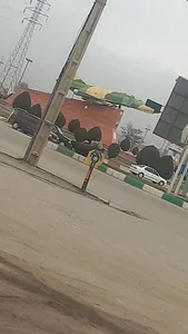 سایپا