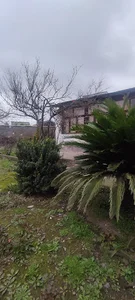 املاک میرزایی