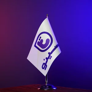 تگسینو