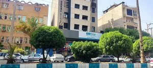 بیمه دی 2