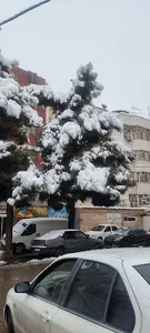 عبادی