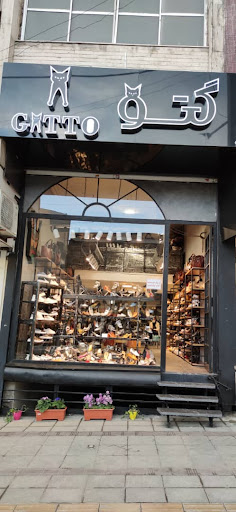 Gatto Shoes