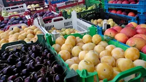 سوپرمارکت شایان