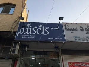 گل گندم