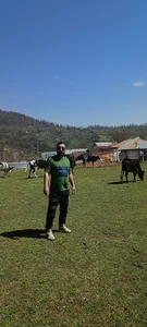 پل جانبازان